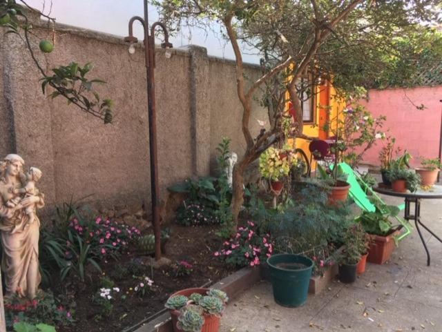 Mini Cerca De Playa Apartamento *
